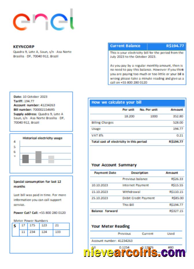 Enel Brazil electricity utility business bill